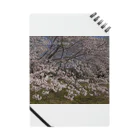 hiroki-naraの光景　sight0054　桜　2015_010　サクラ ノート