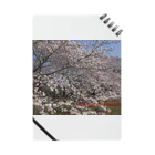 hiroki-naraの光景　sight0070　桜　2015_015　サクラ ノート