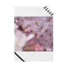 hiroki-naraの桜　サクラ　cherry blossom DATA_P_091 Notebook