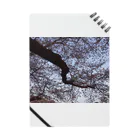 hiroki-naraの桜　サクラ　cherry blossom DATA_P_105 Notebook