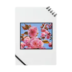 LalaHangeulの八重桜2020 No.1 Notebook