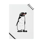 空とぶペンギン舎のガラパゴスペンギンA Notebook