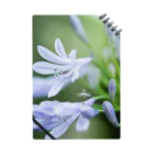 PhotoAtelier AileのAngel of Agapanthus 170702 Notebook