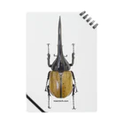 insectech.comのヘラクレスオオガブト（原名亜種） ノート