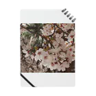 hiroki-naraの桜　サクラ　cherry blossom DATA_P_152　春　spring ノート
