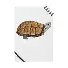 動物ガラス絵描きをしてる人のお店のミシシッピドロガメ ノート