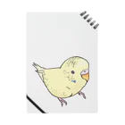 まめるりはことりの可愛いセキセイインコ　おすましちゃん【まめるりはことり】 Notebook