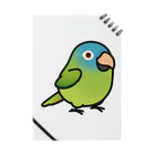 Cody the LovebirdのChubby Bird トガリオインコ ノート
