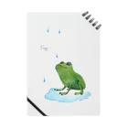 kayoのFlog Notebook