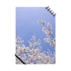 RIKIRIKIのSAKURA Notebook