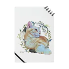 猫カフェラグドール（大阪難波）の猫カフェラグドールてぃがflower Notebook