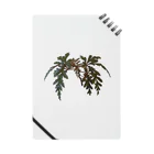 ぴーちゃんのベゴニア ポリロエンシス 熱帯植物 Notebook