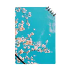 青空市場の青空と桜 Notebook