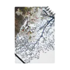 東京勝負師の白い桜 Notebook