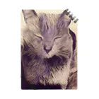 Ｌ＆Ｔ（Luna & Tama)のＬ＆Ｔ（正面・紫猫１） Notebook