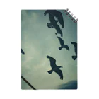 Torigaragaraの海の鳥 Notebook