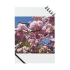 鯖缶の桜 Notebook