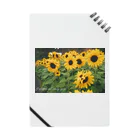 蒼月 イルのSunflower Notebook