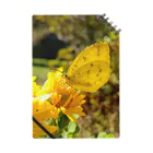 六号商店の花とキタキチョウ Notebook