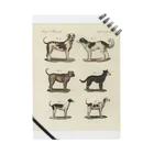 J. Jeffery Print Galleryの1802年ドイツの犬たち Notebook