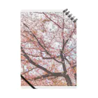 紫鹿庵の桜咲く Notebook