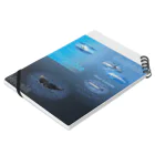 L_arctoaのイルカとクジラの違い Notebook :placed flat