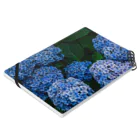 Kohei IwataのHydrangea Notebook :placed flat