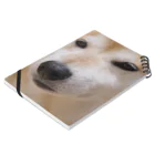 tamanikawaii_shibainuのすまし顔の柴犬♂ Notebook :placed flat