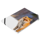 cow_cherry blossomsのNature of Hokkaido(Fox) Notebook :placed flat