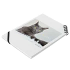 ねこほうチャンネル公式グッズのおしゃれハムちゃん Notebook :placed flat