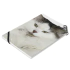 ハチワレ太郎のふてぶてしい猫のグッズ Notebook :placed flat