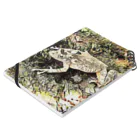 Fantastic FrogのFantastic Frog -Dry Moss Version- 노트の平置き