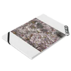 hiroki-naraの光景　sight0053　桜　2015_009　サクラ ノートの平置き