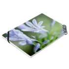 PhotoAtelier AileのAngel of Agapanthus 170702 Notebook :placed flat