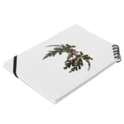 ぴーちゃんのベゴニア ポリロエンシス 熱帯植物 Notebook :placed flat