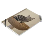 かかしたまごの猫アイーン Notebook :placed flat