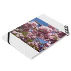 鯖缶の桜 Notebook :placed flat