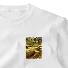taocatのTokyo Dharma frog One Point T-Shirt