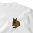 しゅう🍿のわがやの猫(こむぎ) One Point T-Shirt