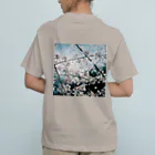 旅photographyのSAKURA オーガニックコットンTシャツ