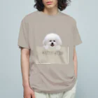 hummingbirdのビションフリーゼ　bichon frise  オーガニックコットンTシャツ