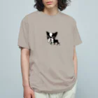 ブヒーズのSNUB NOSE DOGS※ボストンテリア※ Organic Cotton T-Shirt