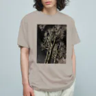 空屋　sorayakusakaの202001121944000　夜の樹木 Organic Cotton T-Shirt
