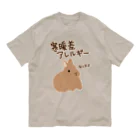 ミナミコアリクイ【のの】の寒暖差アレルギー【うさぎ】 オーガニックコットンTシャツ