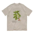 たくみのグッズショップのアラビカコーヒーノキ（Coffea arabica） Organic Cotton T-Shirt