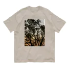 suparnaの夕方の林の中で オーガニックコットンTシャツ