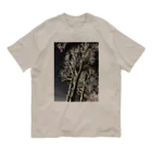 空屋　sorayakusakaの202001121944000　夜の樹木 Organic Cotton T-Shirt