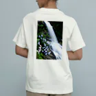 小佐々塾の滝とアジサイ Organic Cotton T-Shirt