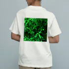 村中龍之介のみどり Organic Cotton T-Shirt