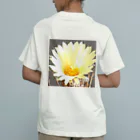 POJO  CACTUSの大鳳玉 アストロフィツム サボテン オーガニックコットンTシャツ